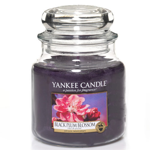 Black Plum Blossom - Medium Jar