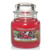 Red Raspberry - Small Jar