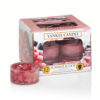 Summer Scoop - Tealights