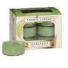 Vanilla Lime - Tealights