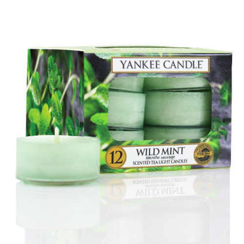 Wild Mint - Tealights